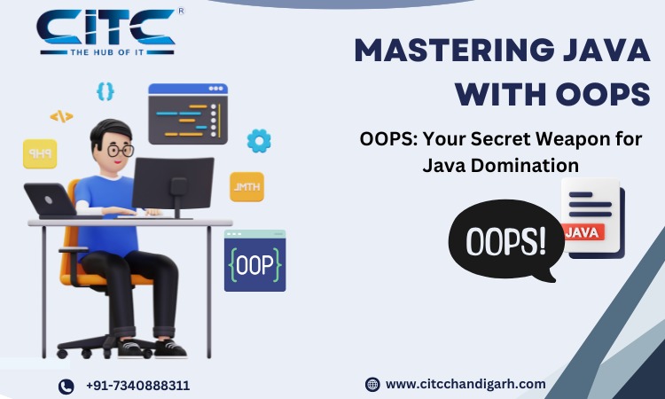 Mastering in JAVA with OOPs Concepts